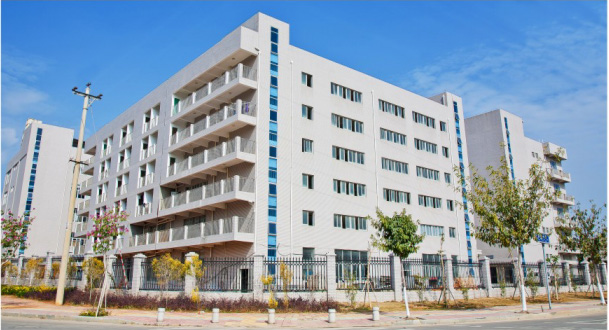 ������¡���